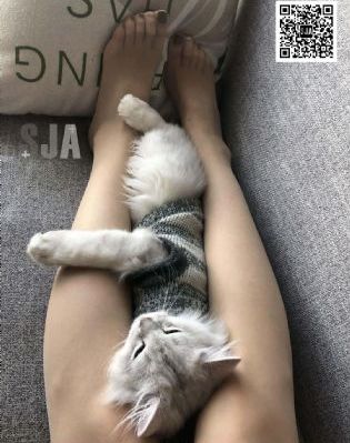 国产中文字幕在线观看不卡一区_DVD电影免费在线